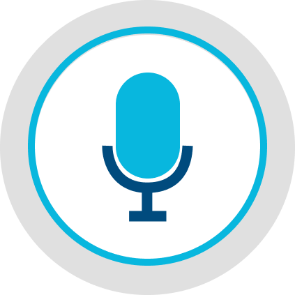 Voice Recognition Icon